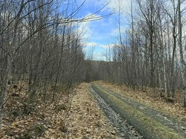 Lot 3-5 Coffin Road, Industry, ME 04938