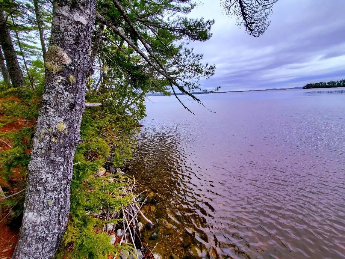 0 Jesses Beach Way, Ellsworth, ME 04605 - #1