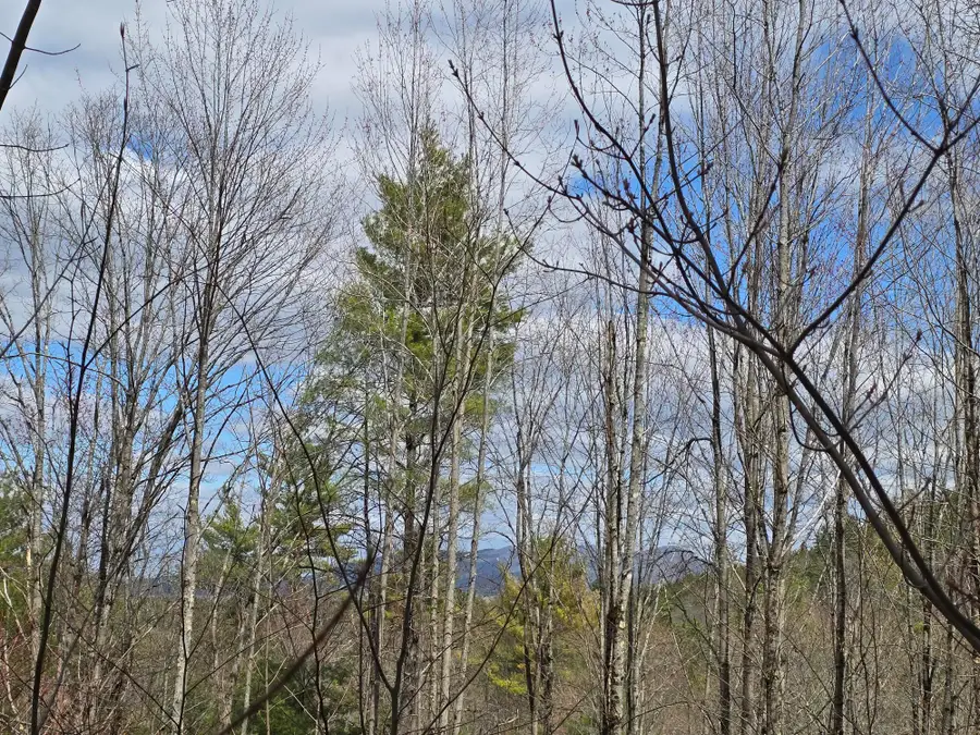 00 Haley Town Road, Brownfield, ME 04010 - #3