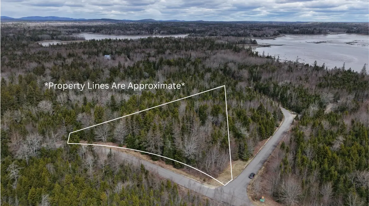 M24 L9B-10 Merganser Drive, Gouldsboro, ME 04607 - #1
