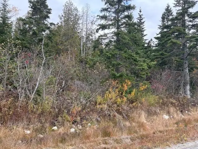0 Boot Cove Road, Lubec, ME 04652 - #3