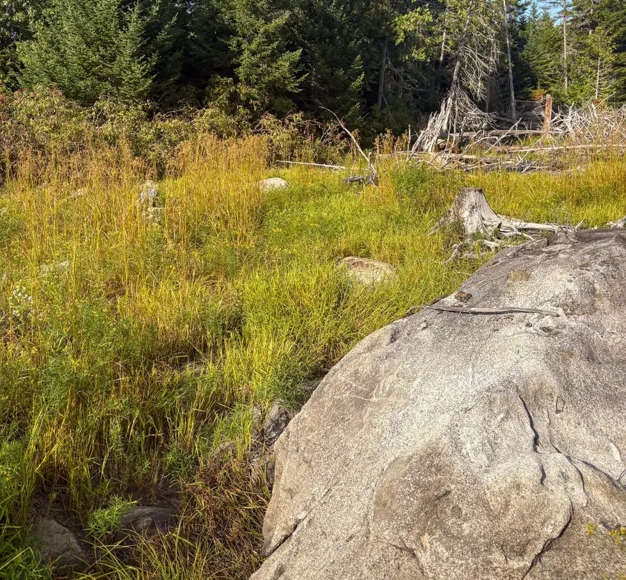 Lot 10 Morrison Brook Acres, Oakfield, ME 04763 - #3