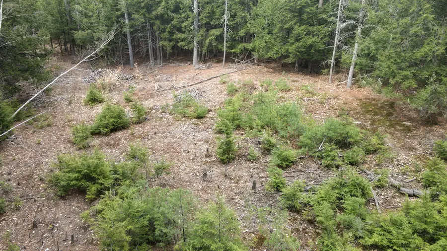 57 Dolloff Road, Standish, ME 04084 - #3