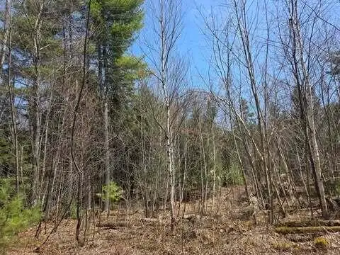 Lot 26-1 Old County Road, West Paris, ME 04289 - #3