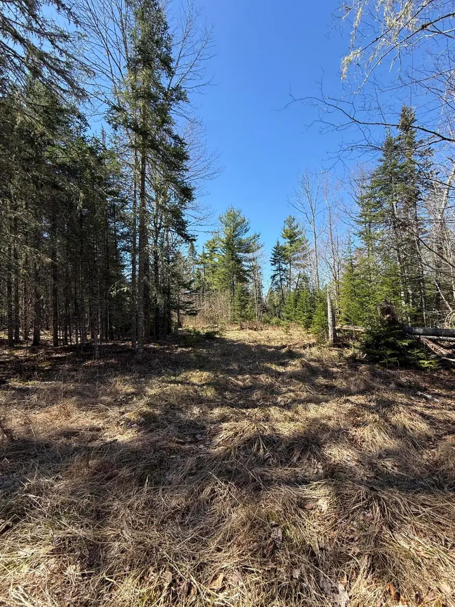 Lot 016-2 142 Old Fisher Rd Road, Holden, ME 04429 - #3