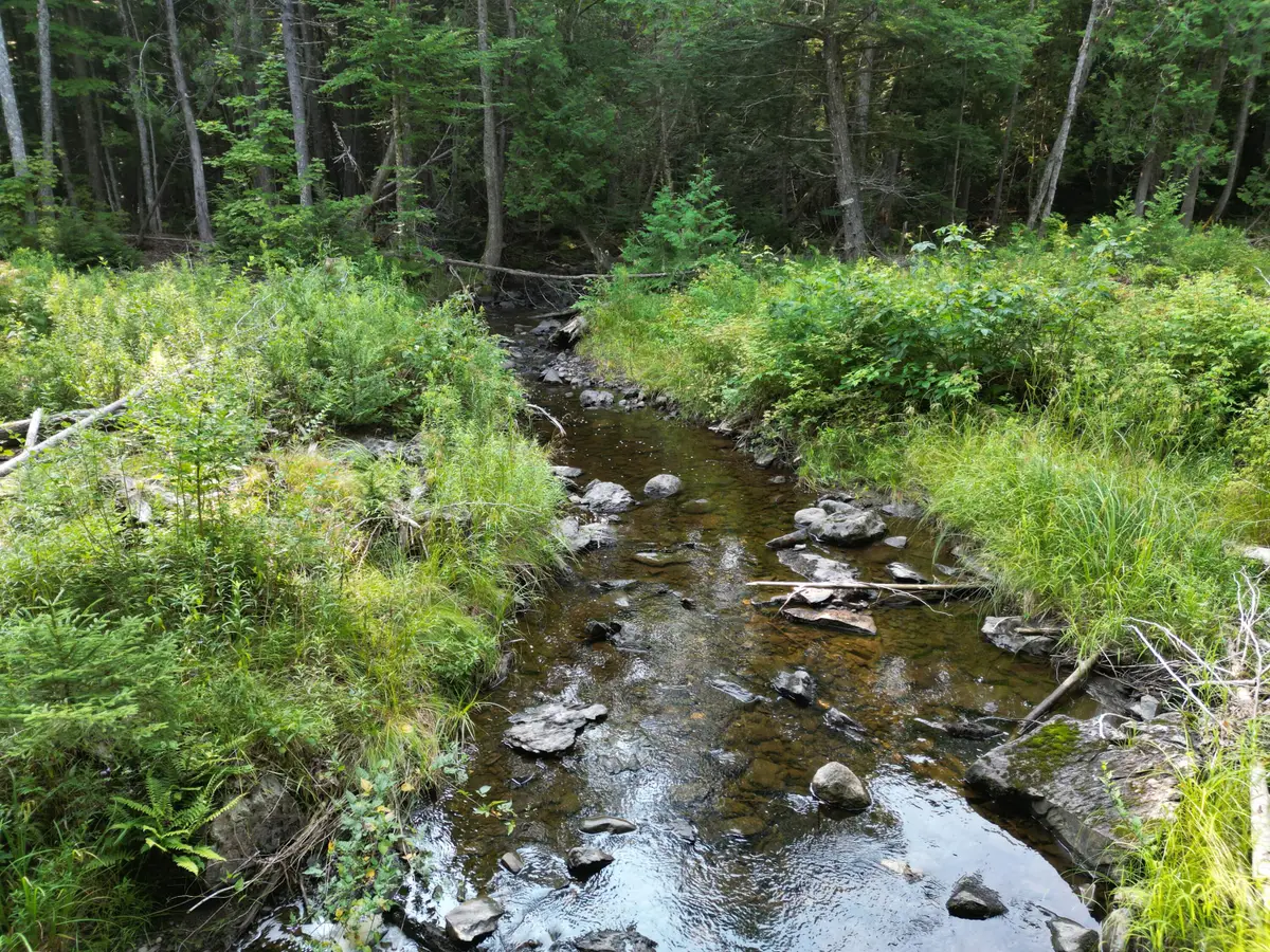 Lot 33-4 West Road, Springfield, ME 04487 - #1