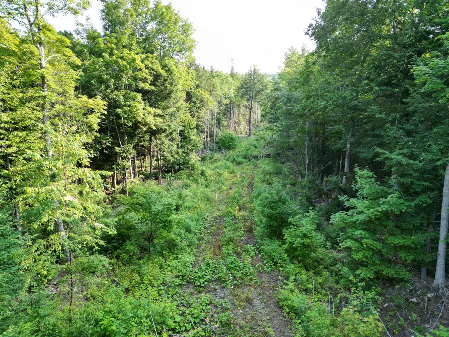 Lot 33-4 West Road, Springfield, ME 04487 - #3