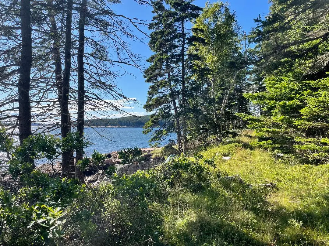 56 Jordan Harbor Road, Winter Harbor, ME 04693 - #1