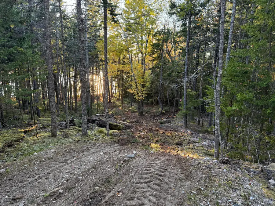 56 Jordan Harbor Road, Winter Harbor, ME 04693 - #3