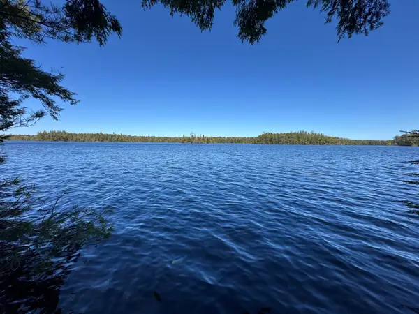 Lot 117N Long Lake Road, Wesley, ME 04686
