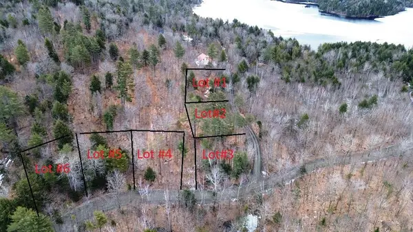 Lot 5 Peterson Road, Bowerbank, ME 04426