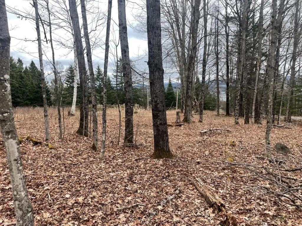 M7L67-11 Amber Road, Rangeley, ME 04970 - #1