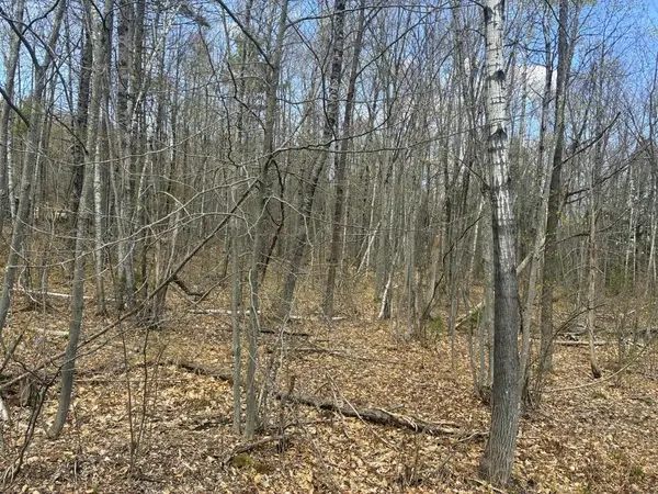 Lot 2-7 Prospect Street, Wilton, ME 04294