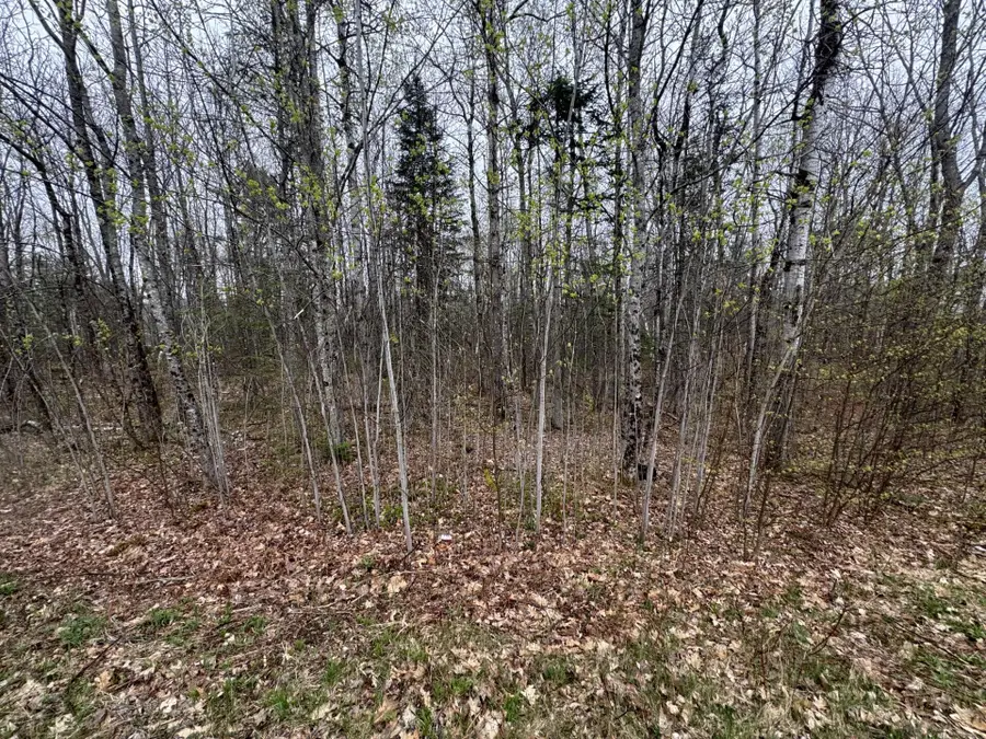 Lot 23 N Dixmont Road, Troy, ME 04987 - #3