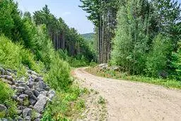 625 Valley Road, Waterford, ME 04088 - #3