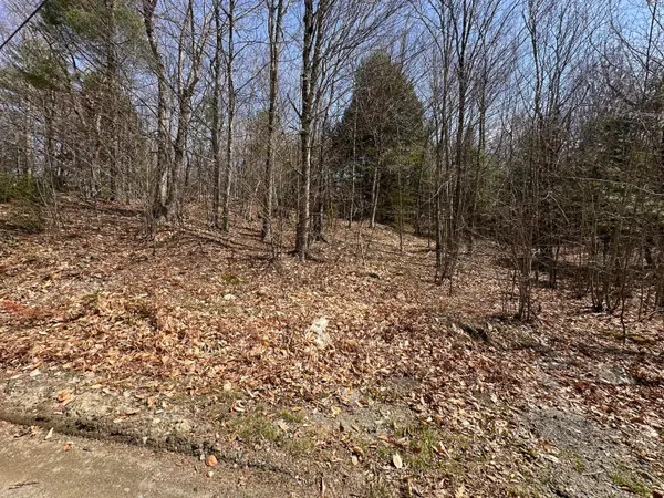 Lot 2 Filaroska Road, New Sharon, ME 04955