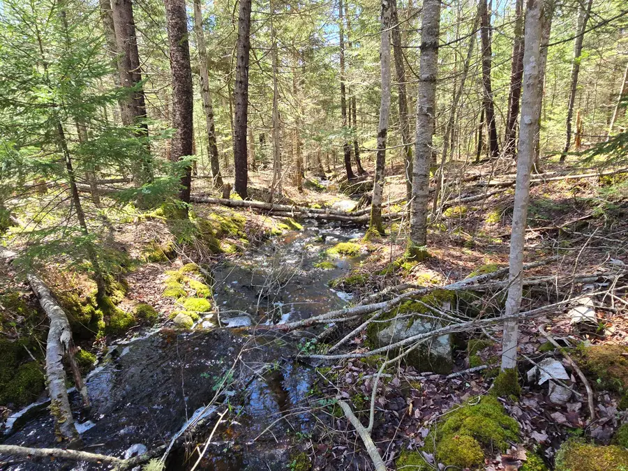 Lot #4 Turkey Cove Road, Saint George, ME 04860 - #3
