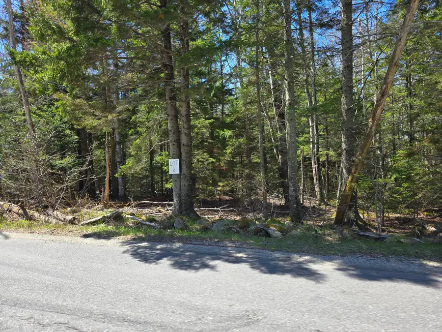 Lot #6 Wallston Road, Saint George, ME 04860 - #2