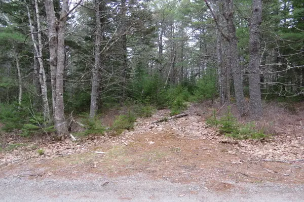 23 Porcupine Road, Sullivan, ME 04664