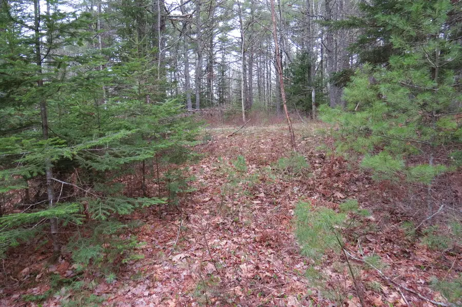 23 Porcupine Road, Sullivan, ME 04664 - #3