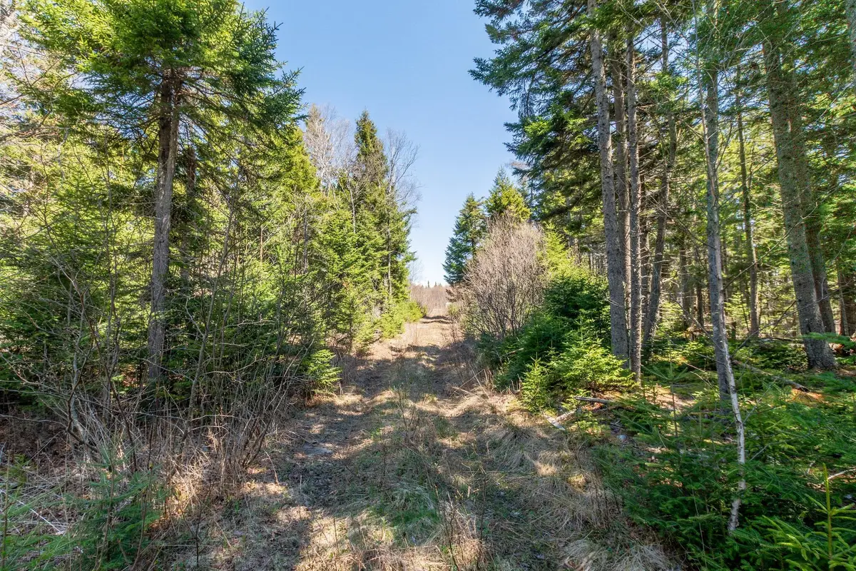 840 Cutler Rd. Road, Machiasport, ME 04655 - #1