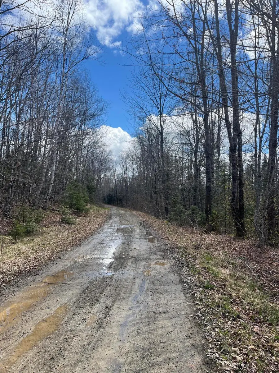 M13L30 Old Calais Road, Danforth, ME 04424 - #2