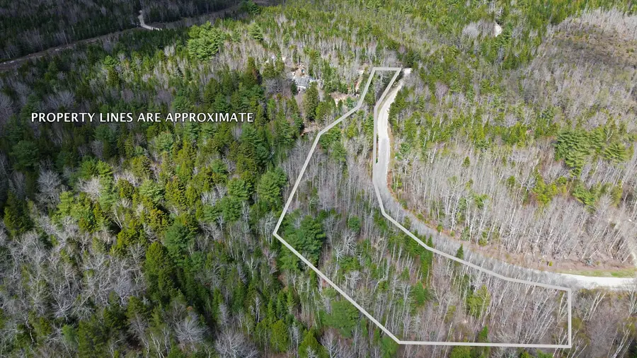 Lot20-20 Bailey Mountain Road, Franklin, ME 04634 - #2