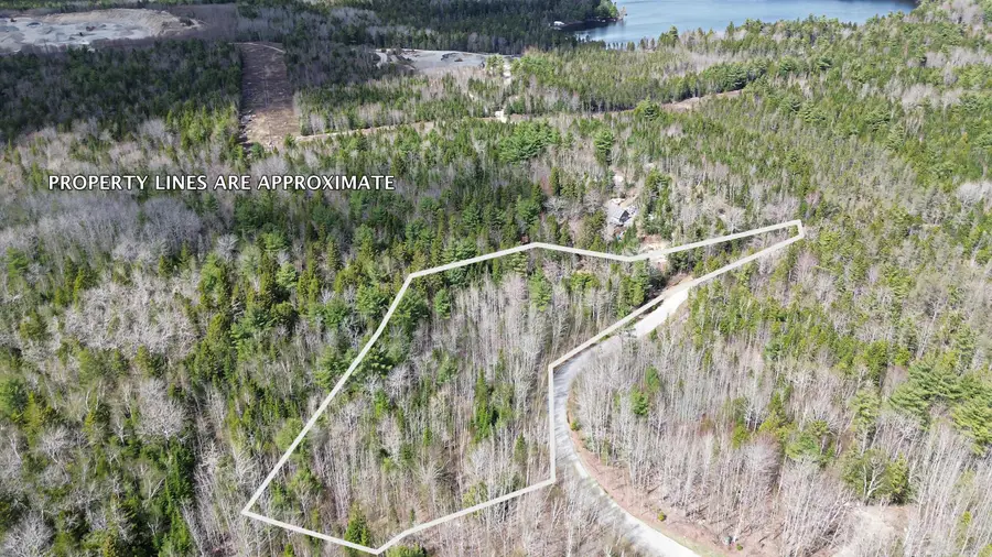 Lot20-20 Bailey Mountain Road, Franklin, ME 04634 - #3