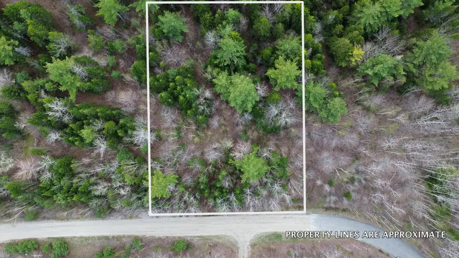 Lot 1 Bailey Mountain Road, Franklin, ME 04634 - #3