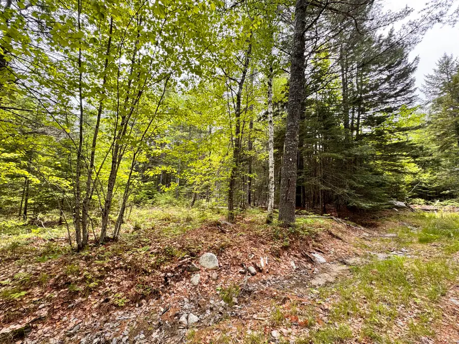 18-B Back Pasture Lane, Blue Hill, ME 04614 - #3