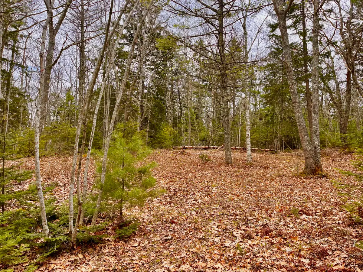 92L Russell Road, Chamberlain, ME 04541 - #1