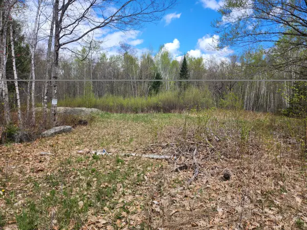 lot 29-8 Windfall Lane, Palmyra, ME 04965