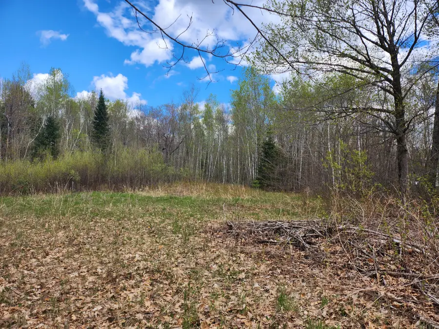 lot 29-8 Windfall Lane, Palmyra, ME 04965 - #2