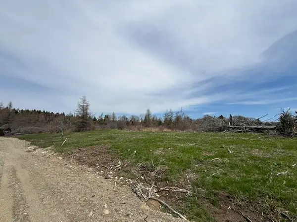 Lot 1 Holmes Bay Farms Road, Whiting, ME 04691
