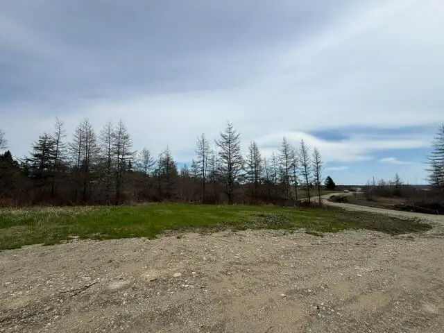 Lot 1 Holmes Bay Farms Road, Whiting, ME 04691 - #3