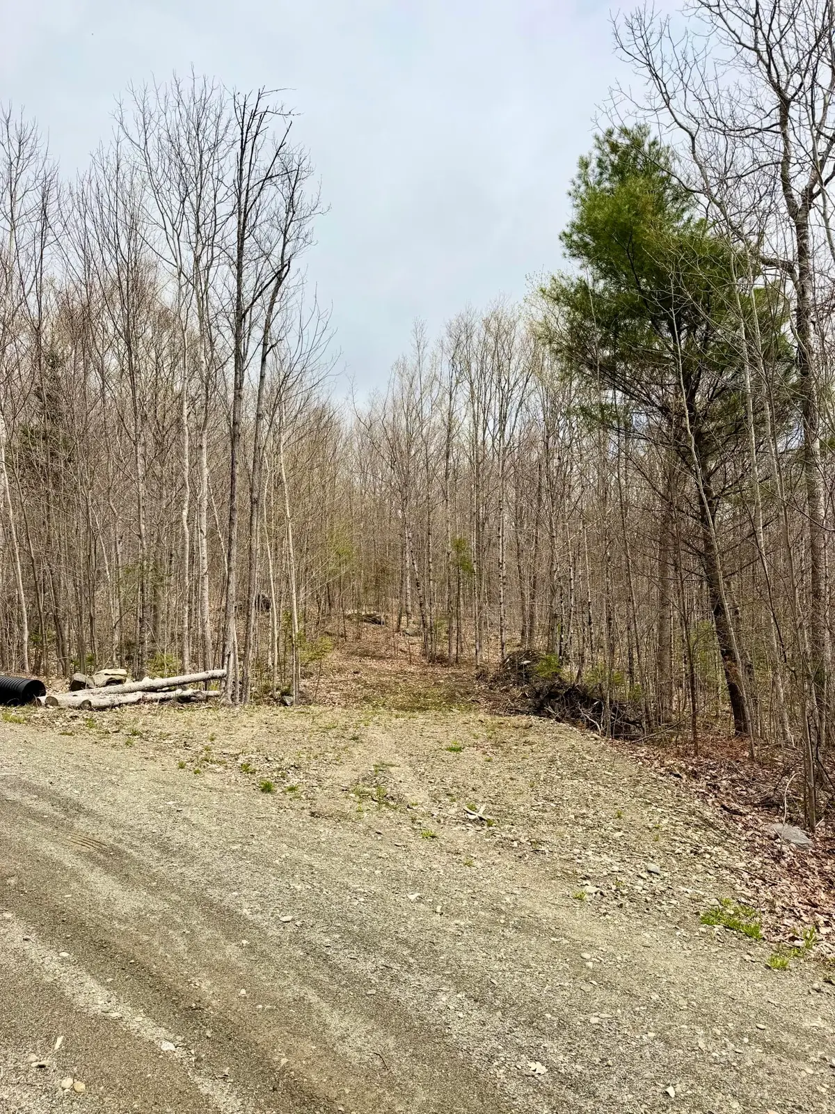 Lot 2 Mooseley Ridge Road, Phillips, ME 04966 - #1
