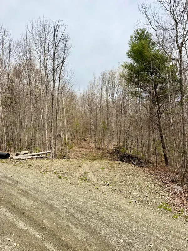 Lot 2 Mooseley Ridge Road, Phillips, ME 04966