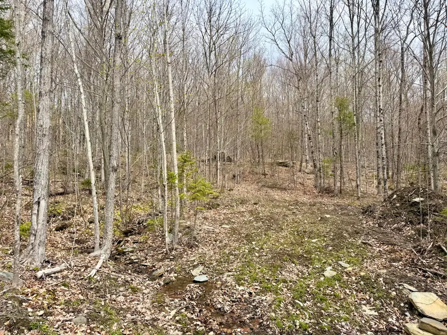 Lot 2 Mooseley Ridge Road, Phillips, ME 04966 - #2