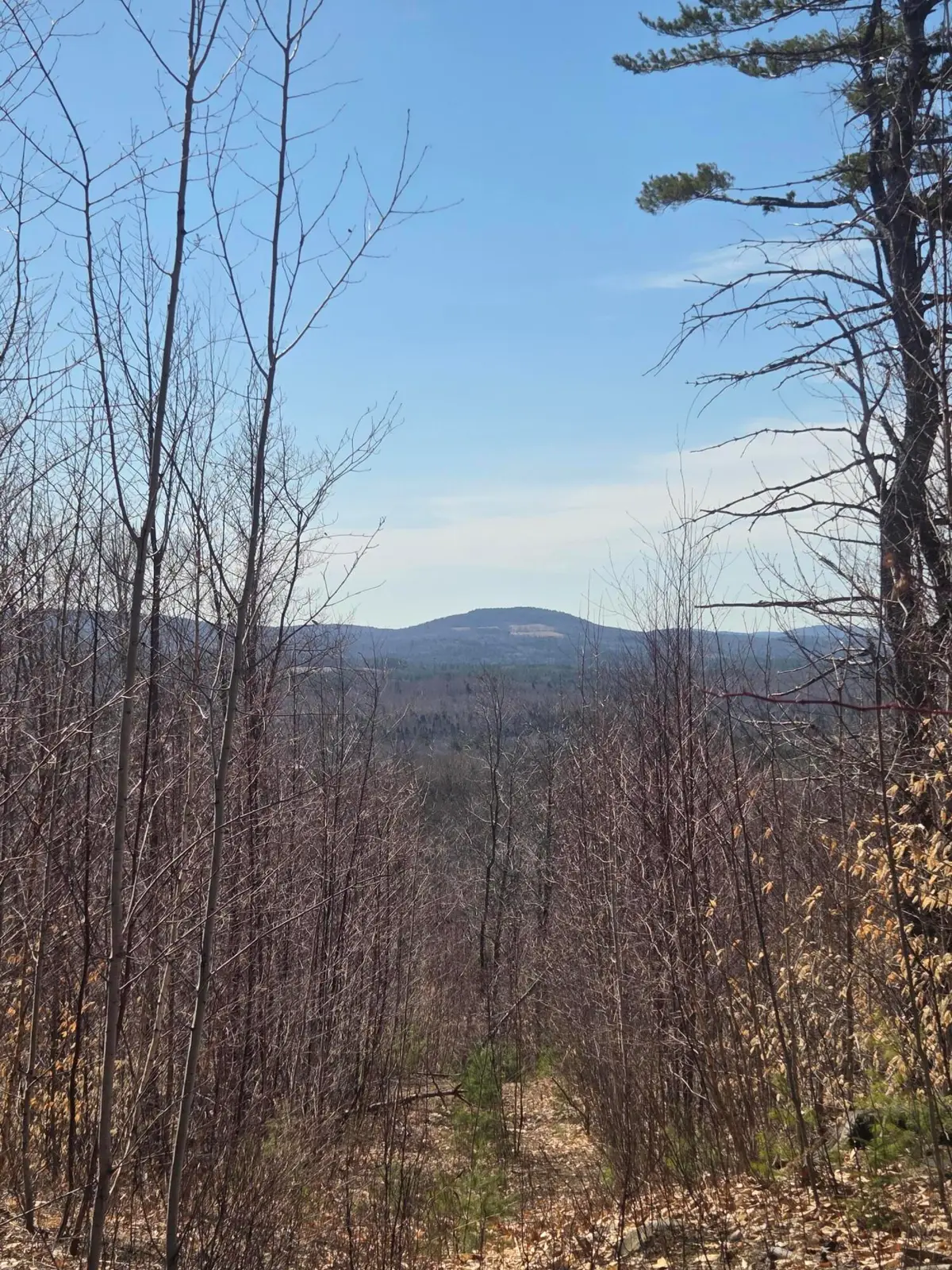 1022 Orchard Drive, Wilton, ME 04294 - #1