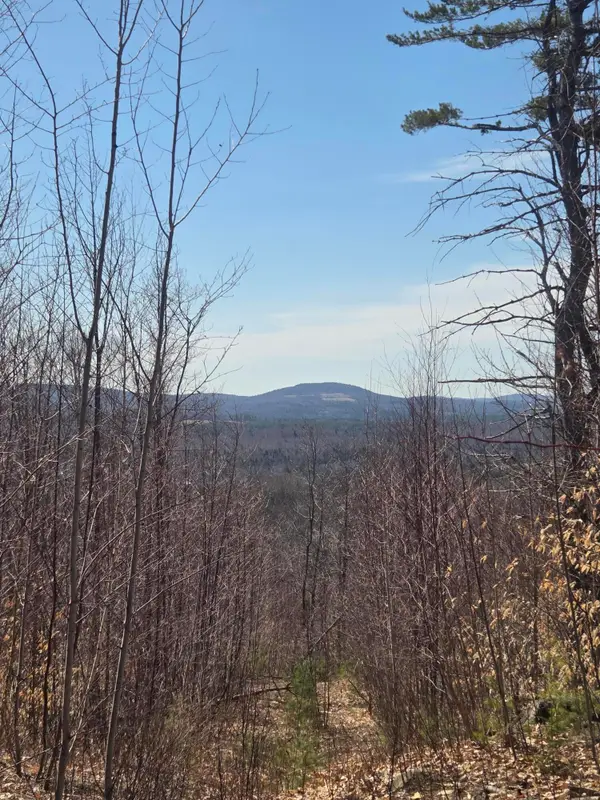 1022 Orchard Drive, Wilton, ME 04294