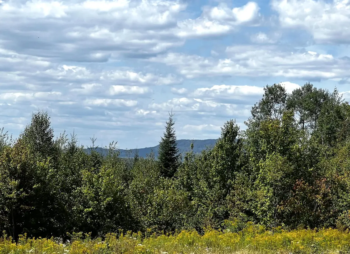 28 Bushey Road, Greenville, ME 04441 - #1
