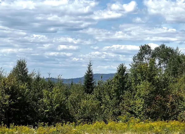 28 Bushey Road, Greenville, ME 04441