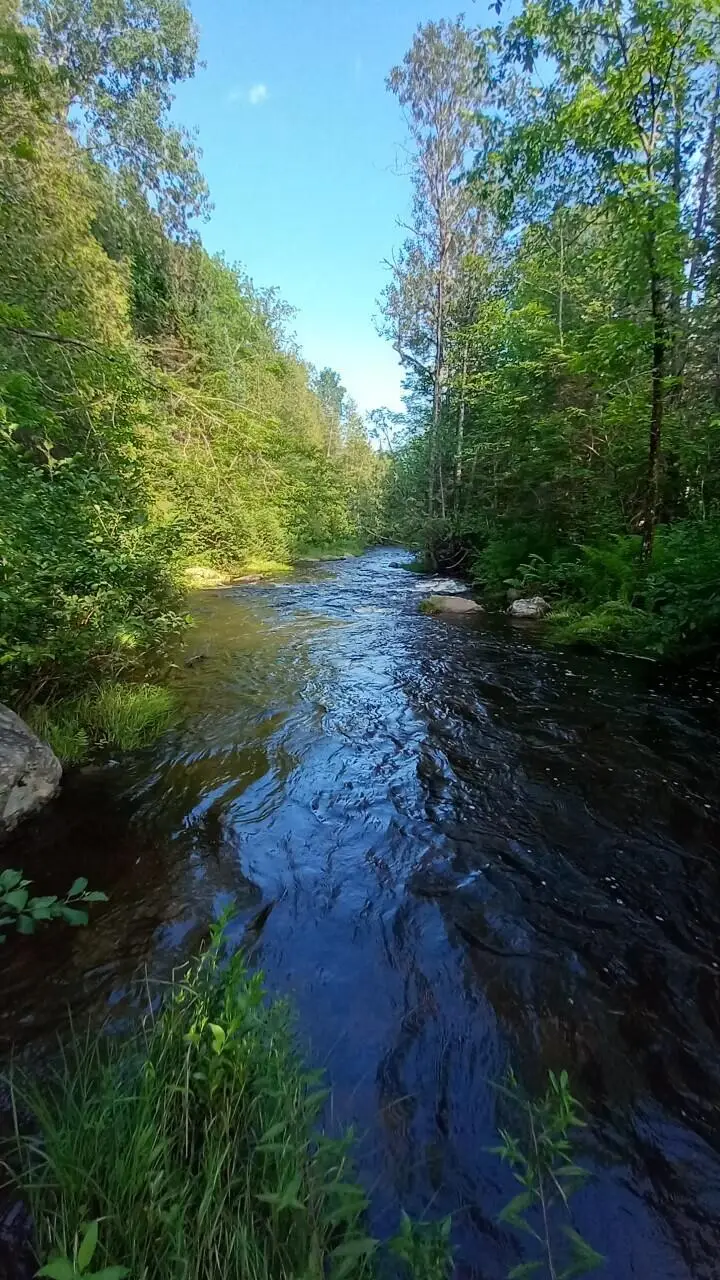 0 Cedar Valley Drive, Hersey, ME 04747 - #2