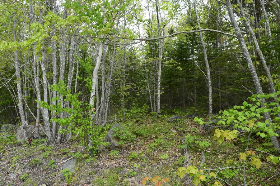 18 Lonely Oaks Way, Franklin, ME 04634 - #3