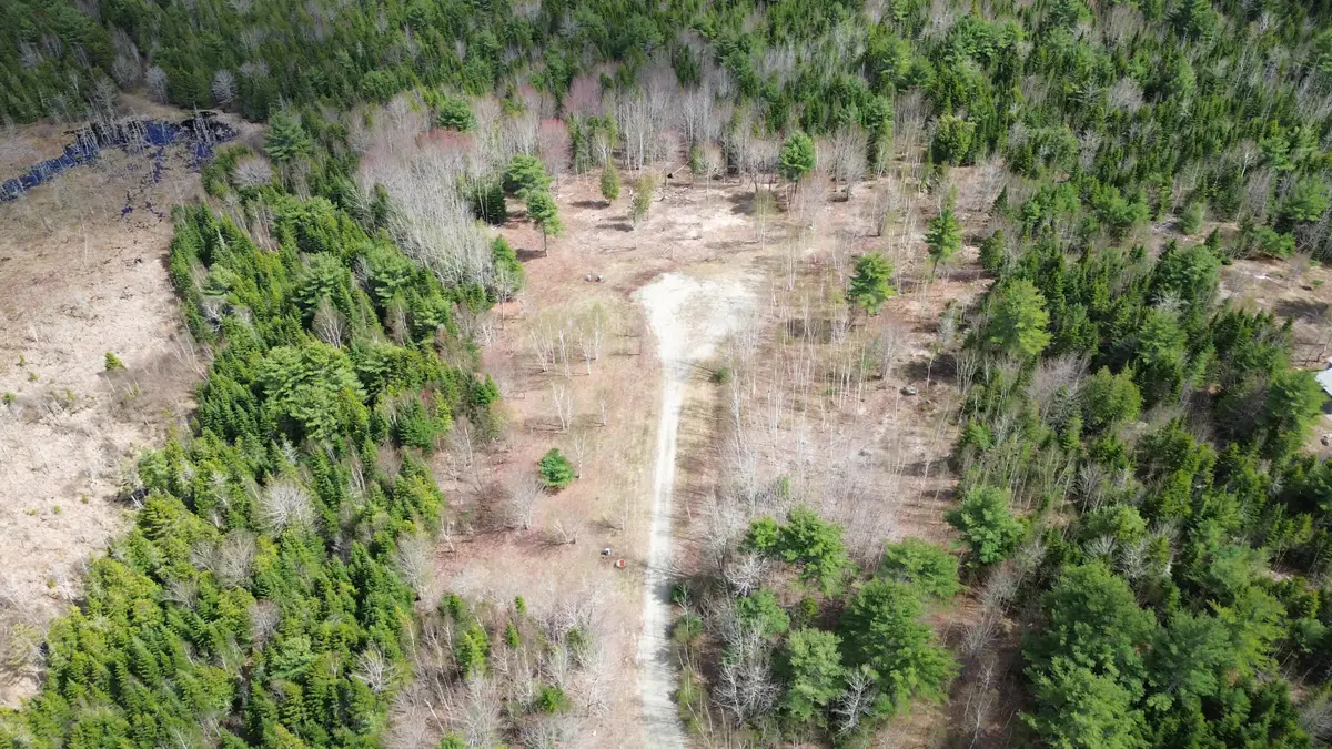 Lot 16 Bailey Mountain Road, Franklin, ME 04634 - #1