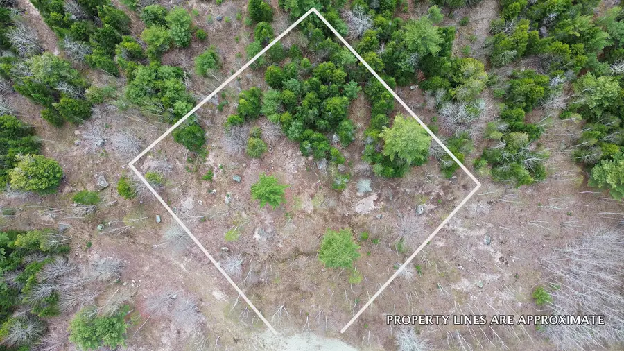 Lot 16 Bailey Mountain Road, Franklin, ME 04634 - #2