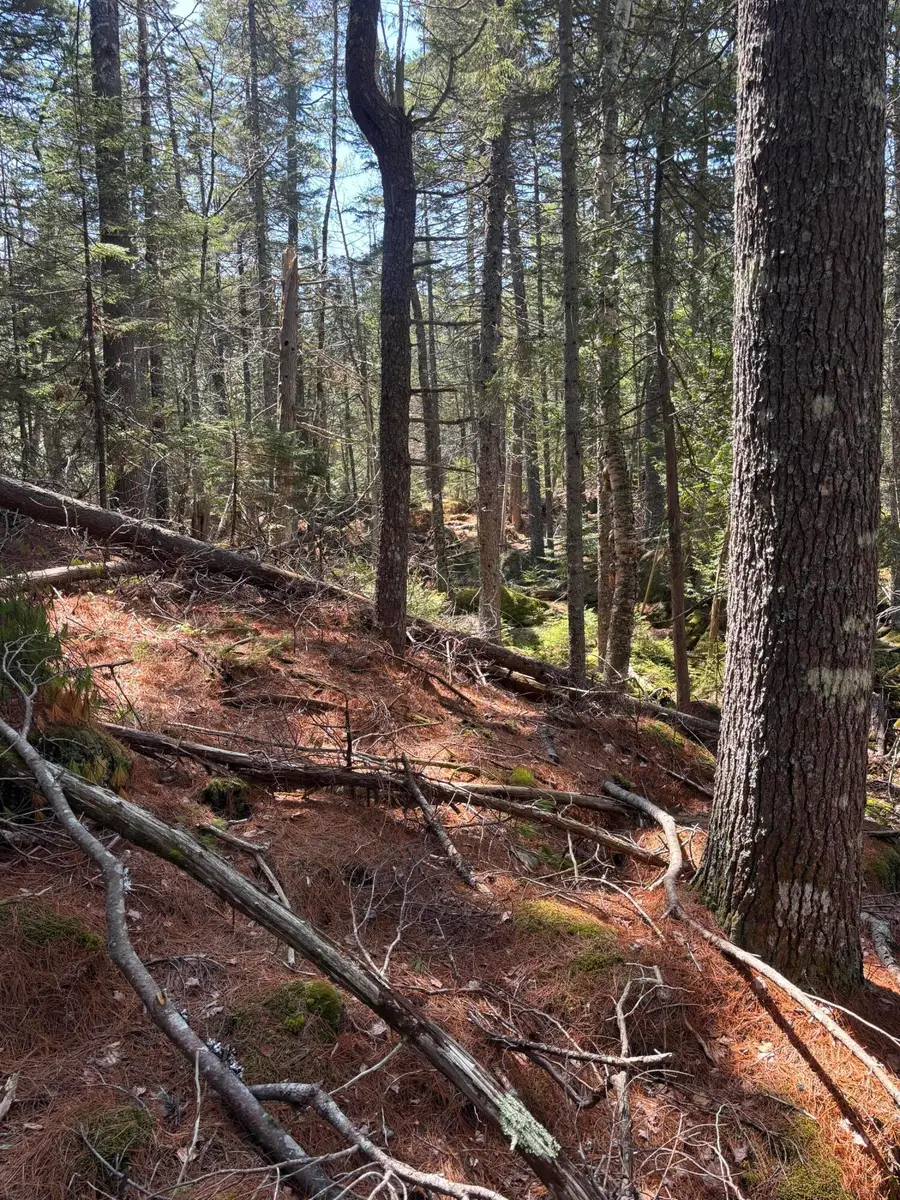 0 Acadia Highway, Orland, ME 04472 - #3