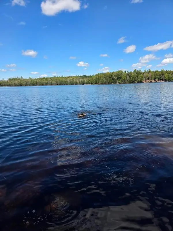 off Northfield Road, Marshfield, ME 04654