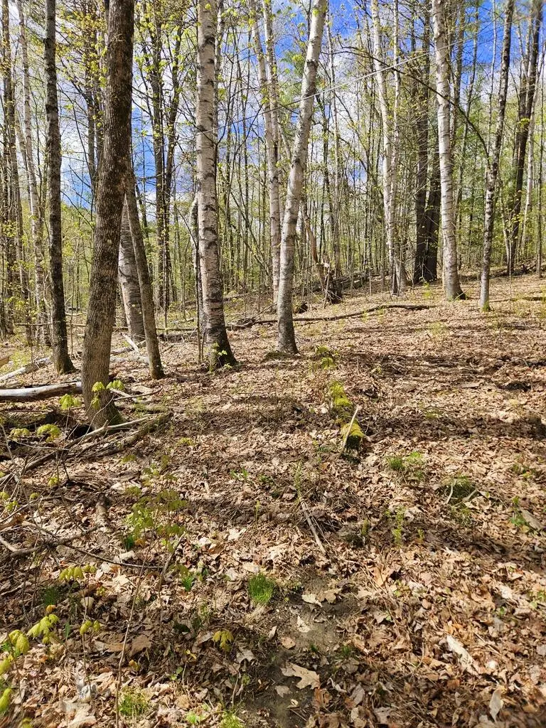 Lot 23 Edes Brook Road, Temple, ME 04984 - #3