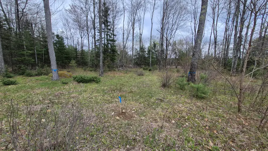 Lot 29-A Hill Road, Clinton, ME 04927 - #2